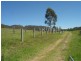 177 Little Careys Trail, Candelo NSW 2550