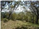 177 Little Careys Trail, Candelo NSW 2550