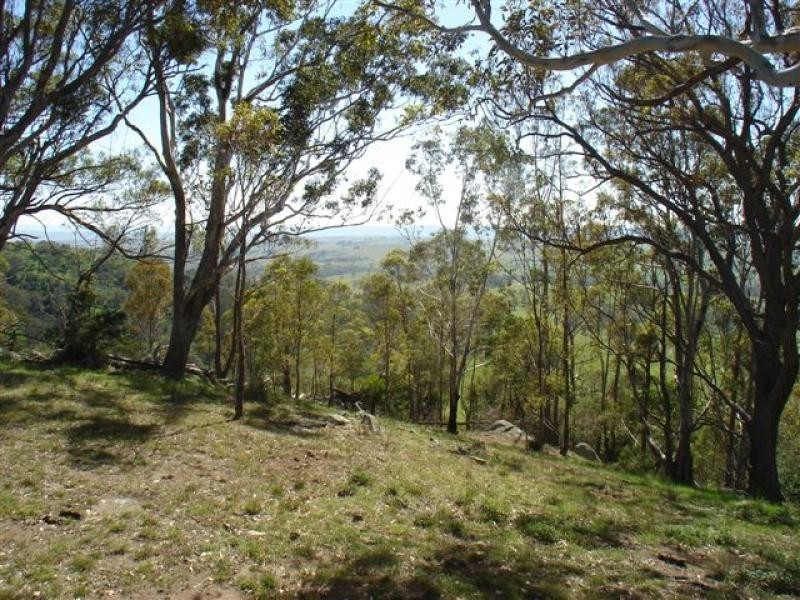 177 Little Careys Trail, Candelo NSW 2550