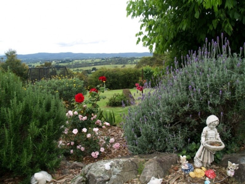 136 Israels Rd, Verona NSW 2550