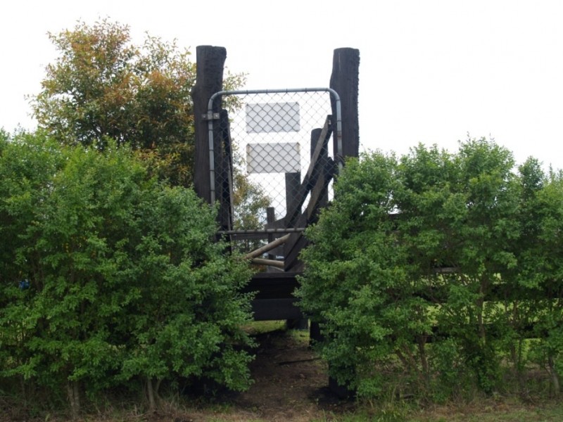 136 Israels Rd, Verona NSW 2550