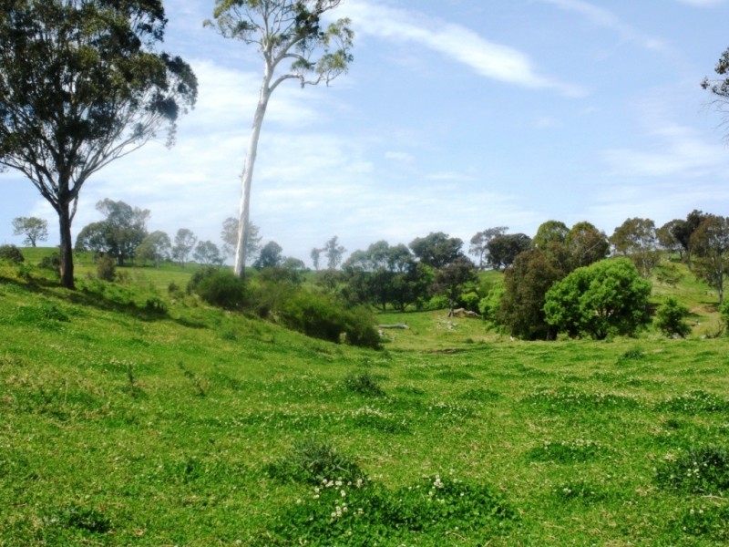 407 Angledale Rd, Bega NSW 2550