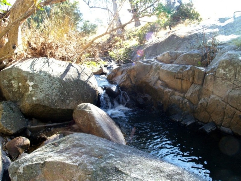 407 Angledale Rd, Bega NSW 2550