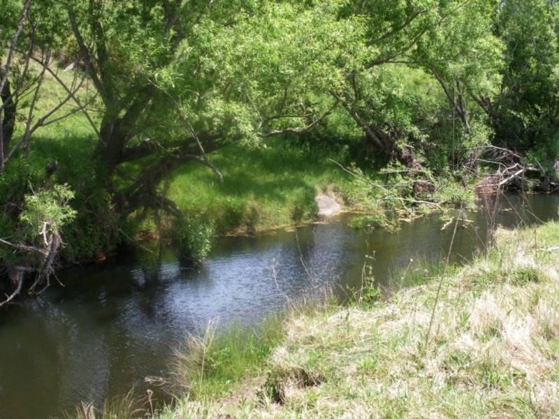 407 Angledale Rd, Bega NSW 2550