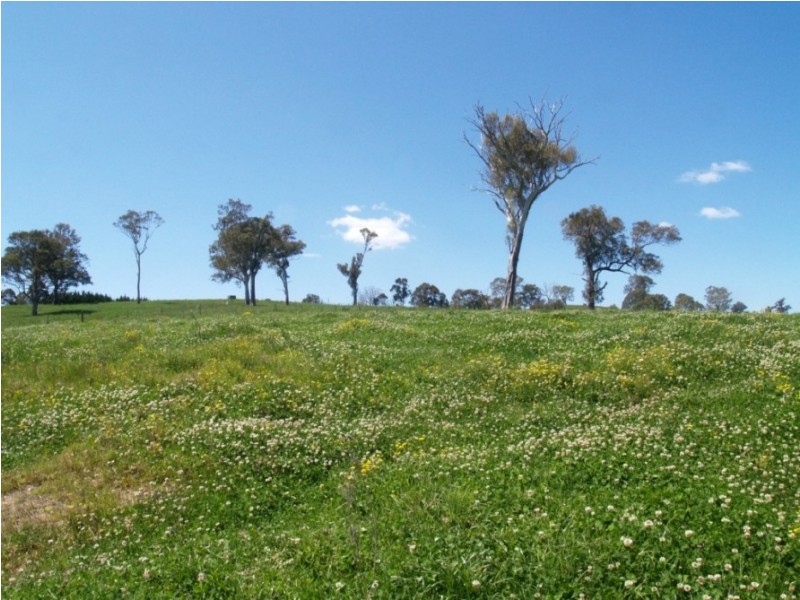 407 Angledale Rd, Bega NSW 2550