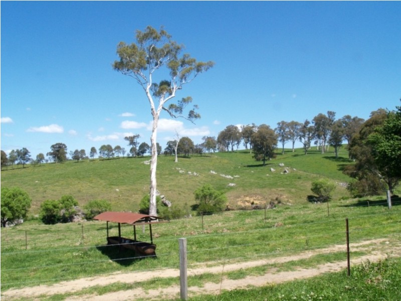 407 Angledale Rd, Bega NSW 2550