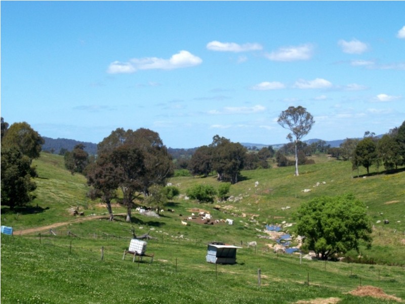 407 Angledale Rd, Bega NSW 2550