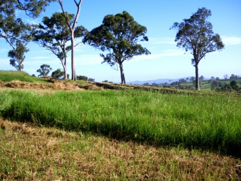 407 Angledale Rd, Bega NSW 2550