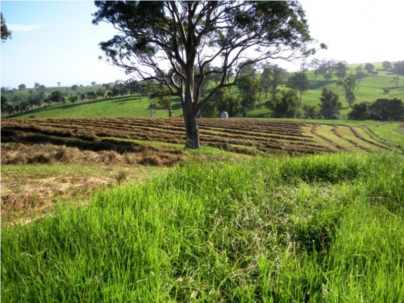 407 Angledale Rd, Bega NSW 2550