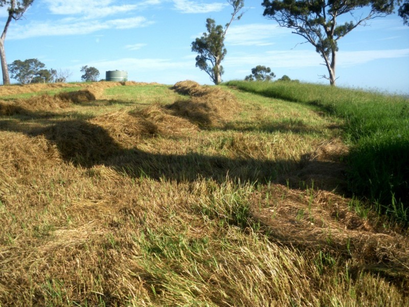 407 Angledale Rd, Bega NSW 2550