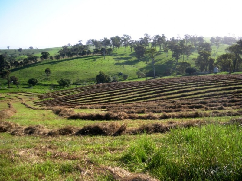 407 Angledale Rd, Bega NSW 2550