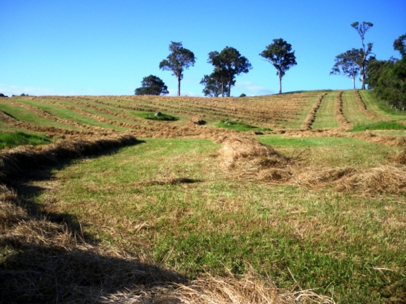 407 Angledale Rd, Bega NSW 2550