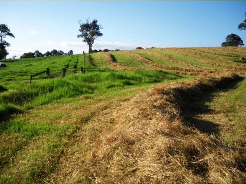 407 Angledale Rd, Bega NSW 2550