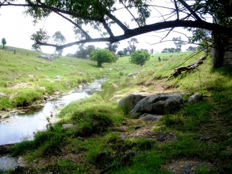 407 Angledale Rd, Bega NSW 2550