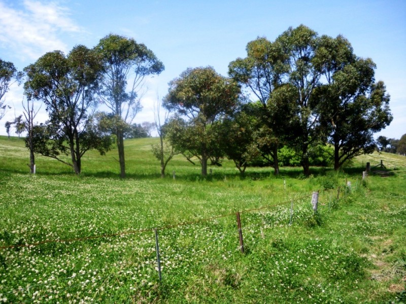 407 Angledale Rd, Bega NSW 2550