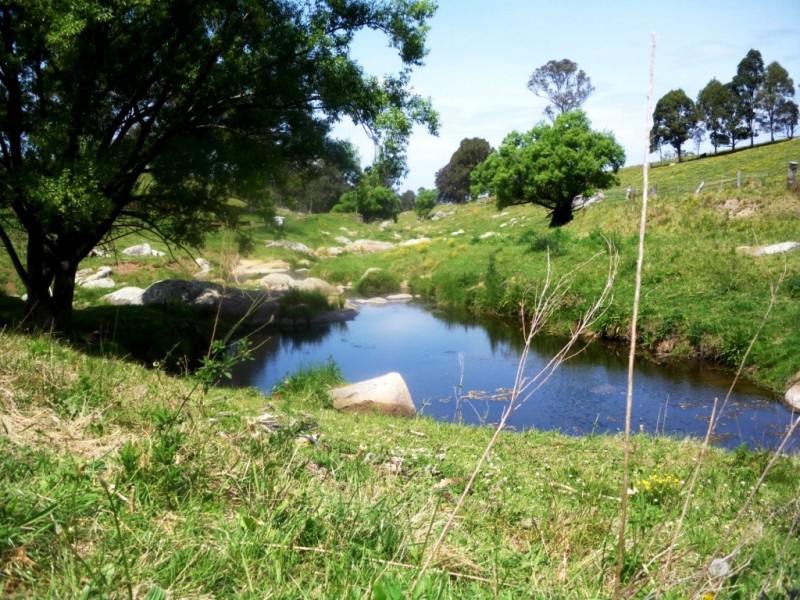 407 Angledale Rd, Bega NSW 2550