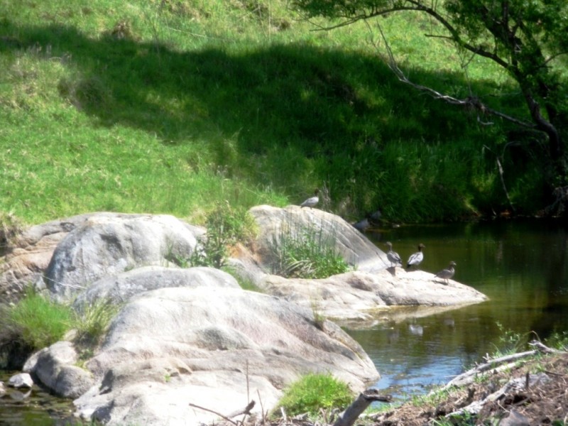 407 Angledale Rd, Bega NSW 2550