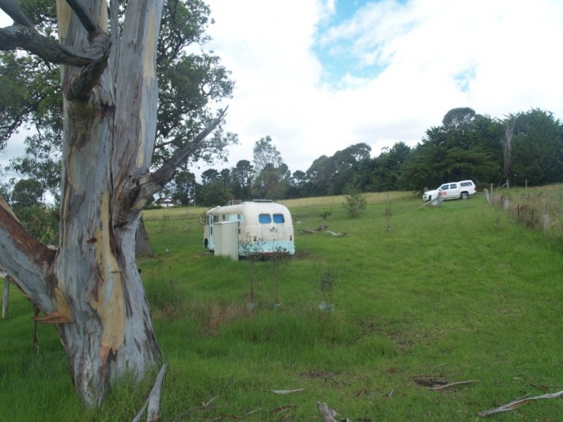 74-76 Nimmitabel St, Bemboka NSW 2550