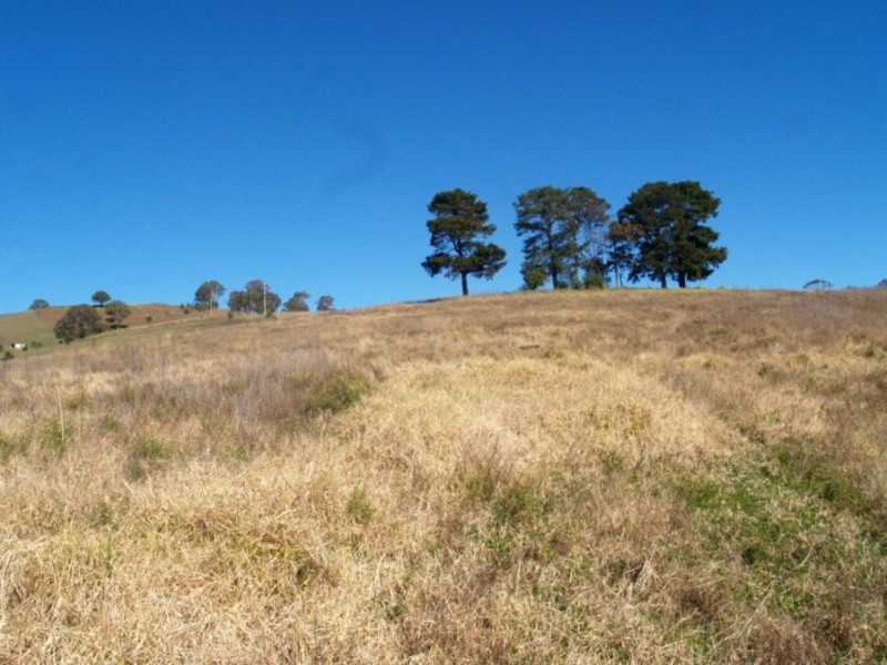 3 Lots on Mt Pleasant Rd, Bega NSW 2550
