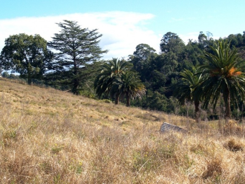 3 Lots on Mt Pleasant Rd, Bega NSW 2550