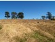 3 Lots on Mt Pleasant Rd, Bega NSW 2550