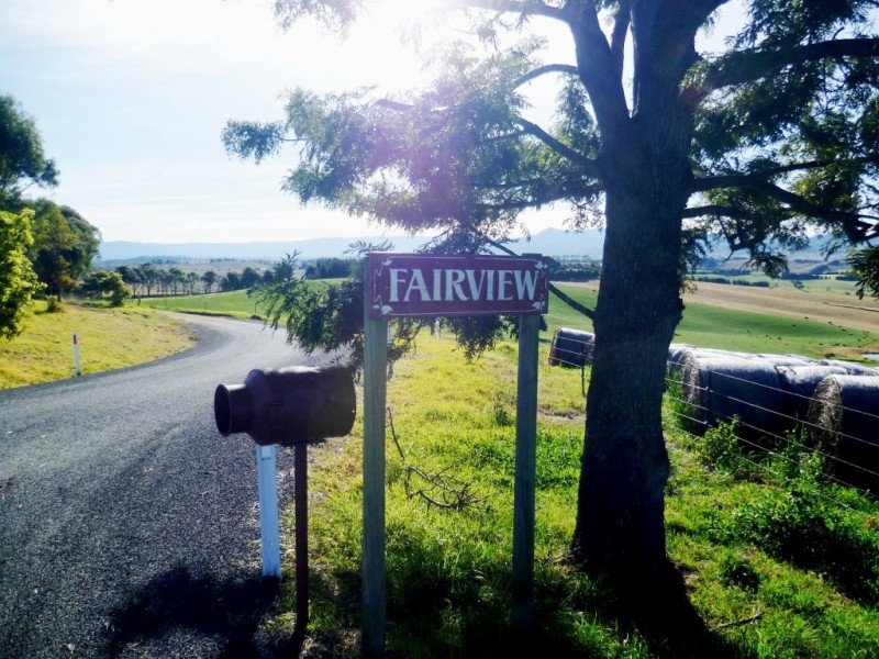 179 Wyndham Lane, Candelo NSW 2550