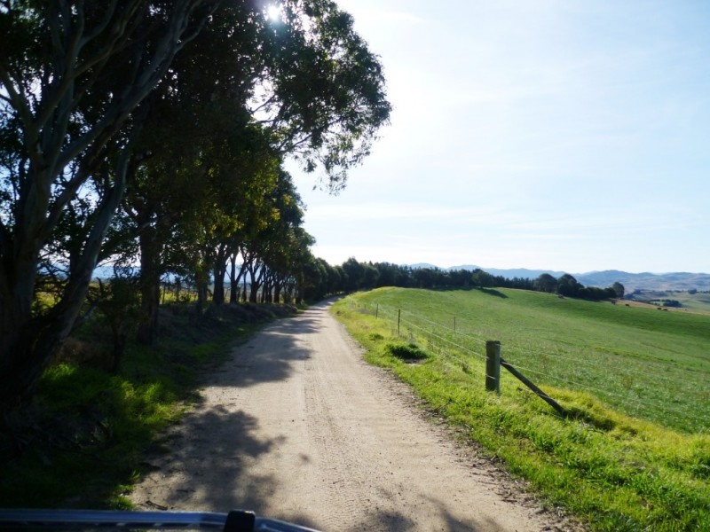 179 Wyndham Lane, Candelo NSW 2550