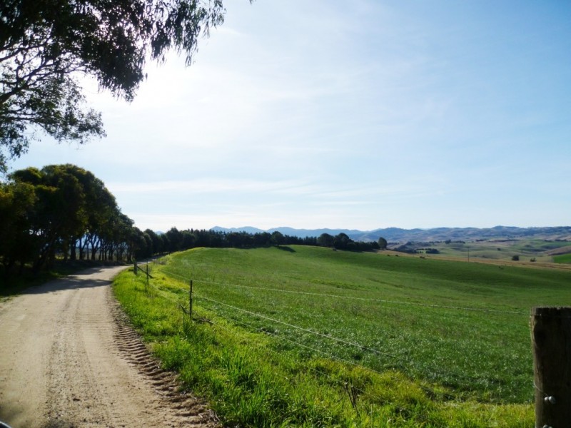 179 Wyndham Lane, Candelo NSW 2550