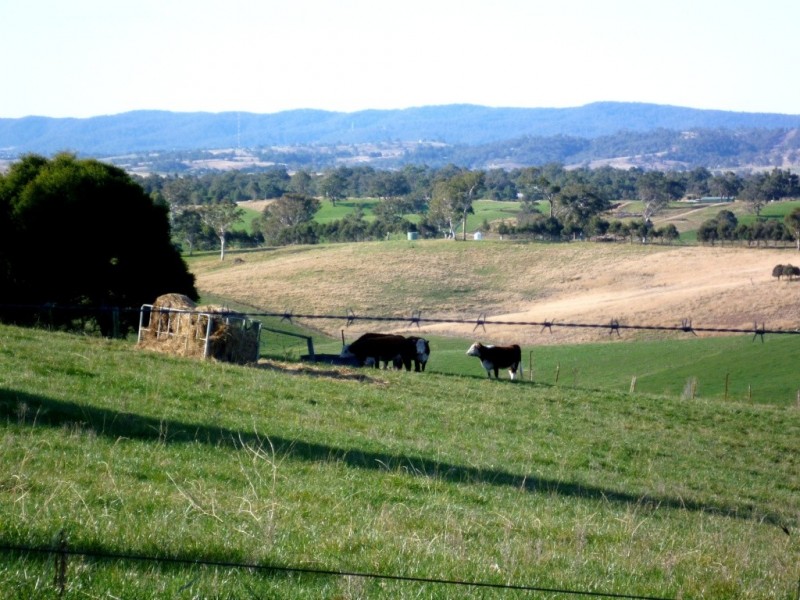 179 Wyndham Lane, Candelo NSW 2550