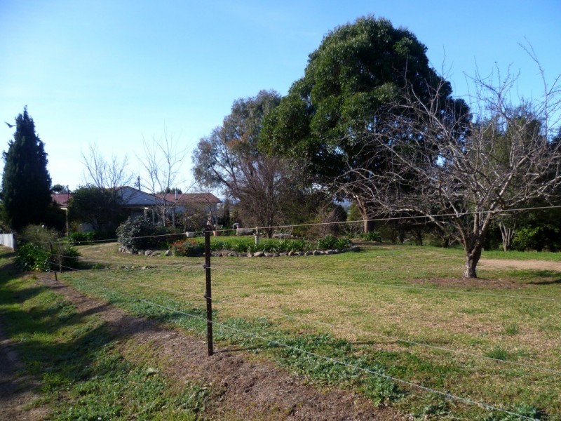 179 Wyndham Lane, Candelo NSW 2550