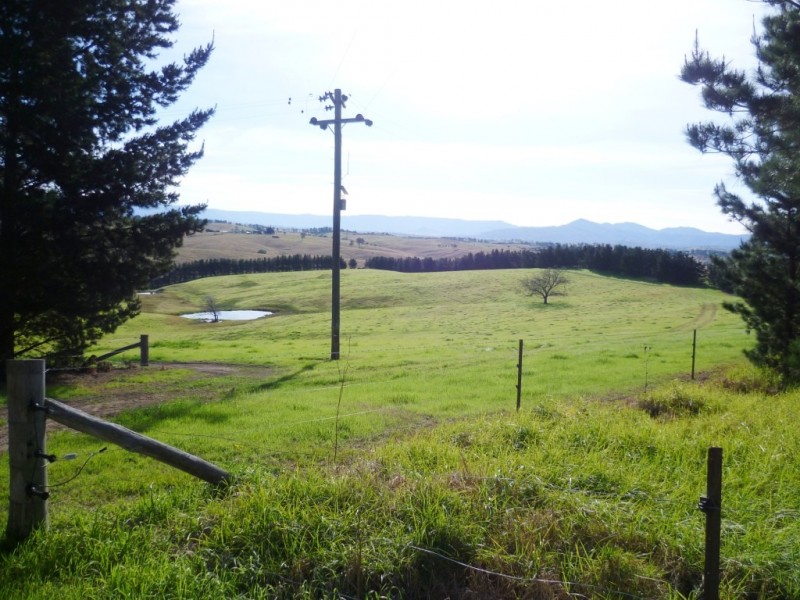 179 Wyndham Lane, Candelo NSW 2550