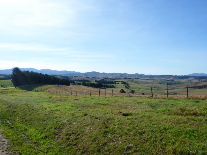 179 Wyndham Lane, Candelo NSW 2550