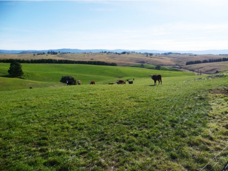 179 Wyndham Lane, Candelo NSW 2550