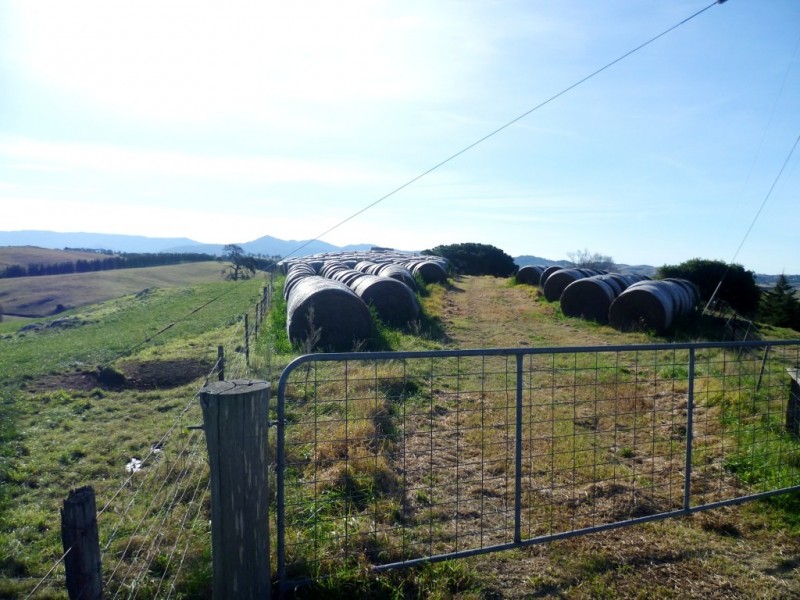 179 Wyndham Lane, Candelo NSW 2550