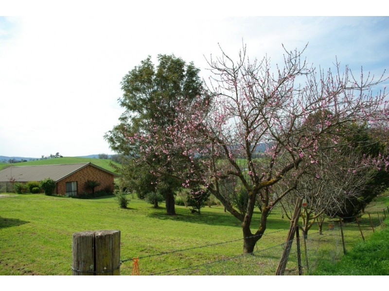 7-13 Parrabell St, Bega NSW 2550