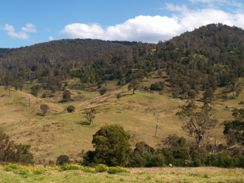 - ‘Mountainview’ Cochranes Rd, South Wolumla NSW 2550
