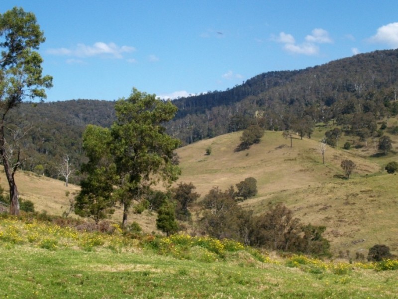 - ‘Mountainview’ Cochranes Rd, South Wolumla NSW 2550
