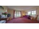 38 Springfield Rd, Candelo NSW 2550