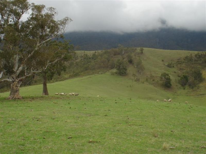 538 Barretts Road, Bemboka NSW 2550