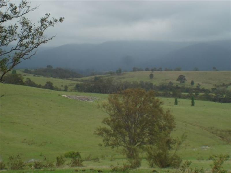 538 Barretts Road, Bemboka NSW 2550