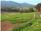 13148 Princes Hwy, Brogo NSW 2550