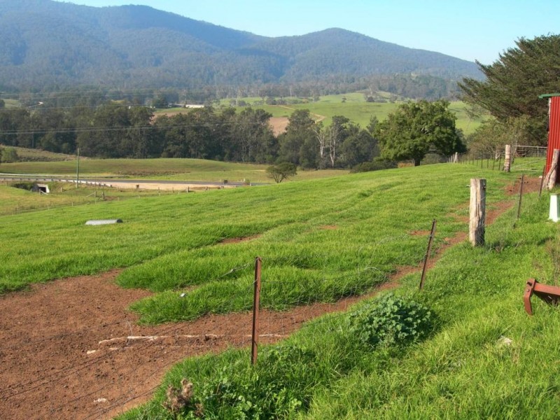 13148 Princes Hwy, Brogo NSW 2550