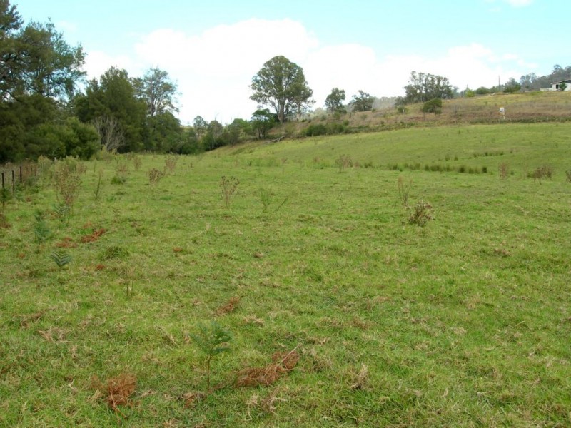 13148 Princes Hwy, Brogo NSW 2550