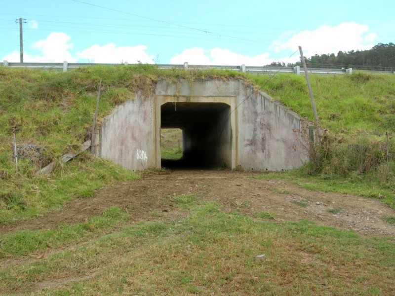 13148 Princes Hwy, Brogo NSW 2550