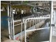 13148 Princes Hwy, Brogo NSW 2550