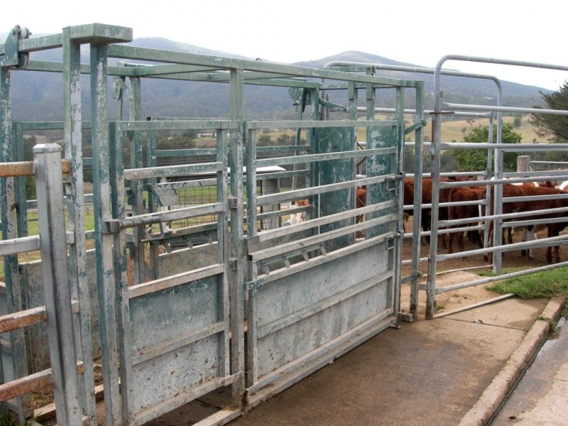 13148 Princes Hwy, Brogo NSW 2550