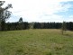 880 South Wolumla Rd, Candelo NSW 2550