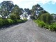 31 Manam Rd, Tarraganda NSW 2550