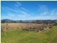 457 Candelo Wolumla Rd, Wolumla NSW 2550