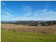 457 Candelo Wolumla Rd, Wolumla NSW 2550